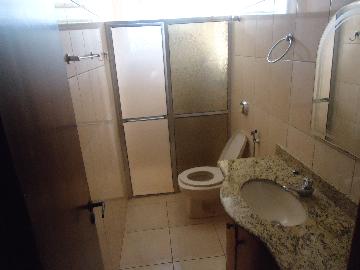 Alugar Apartamento / Padrão em Ribeirão Preto R$ 850,00 - Foto 11