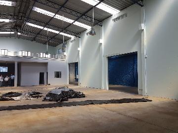 Alugar Comercial padrão / Galpão - Armazém em Ribeirão Preto R$ 11.000,00 - Foto 10