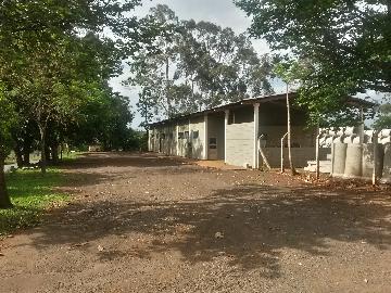 Alugar Terreno / Área em Ribeirão Preto R$ 15.000,00 - Foto 18