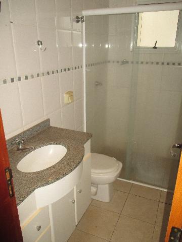 Alugar Apartamento / Padrão em Ribeirão Preto R$ 750,00 - Foto 7