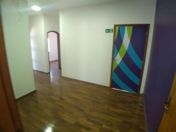 Alugar Comercial padrão / Casa comercial em Ribeirão Preto R$ 16.000,00 - Foto 12