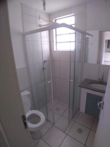 Alugar Apartamento / Padrão em Ribeirão Preto R$ 800,00 - Foto 14