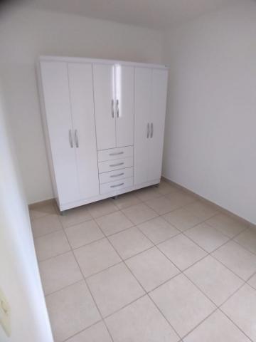 Alugar Apartamento / Padrão em Ribeirão Preto R$ 800,00 - Foto 11