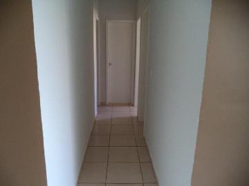 Alugar Apartamento / Padrão em Ribeirão Preto R$ 1.000,00 - Foto 10