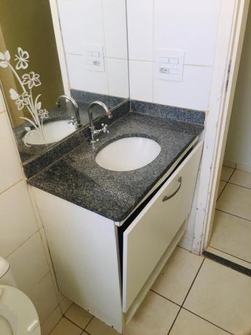 Alugar Apartamento / Padrão em Ribeirão Preto R$ 750,00 - Foto 13