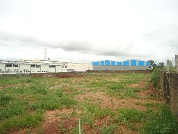 Alugar Terreno / Padrão em Ribeirão Preto R$ 10.000,00 - Foto 3