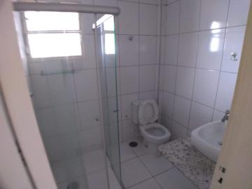 Alugar Apartamento / Padrão em Ribeirão Preto R$ 800,00 - Foto 12