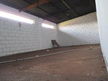 Alugar Comercial padrão / Galpão - Armazém em Ribeirão Preto R$ 3.700,00 - Foto 4