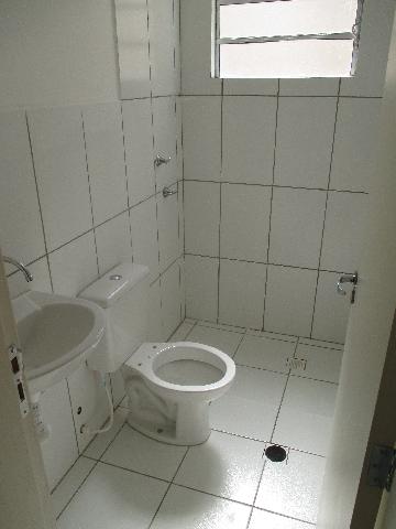 Alugar Apartamentos / Padrão em Ribeirão Preto R$ 550,00 - Foto 5