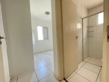 Alugar Apartamento / Padrão em Ribeirão Preto R$ 1.100,00 - Foto 3