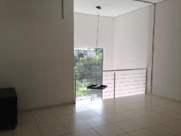 Alugar Comercial padrão / Casa comercial em Ribeirão Preto R$ 5.950,00 - Foto 9