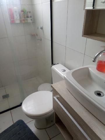 Alugar Apartamento / Padrão em Ribeirão Preto R$ 1.000,00 - Foto 7