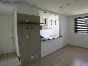 Alugar Apartamento / Padrão em Ribeirão Preto R$ 1.200,00 - Foto 4