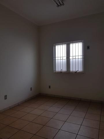 Alugar Comercial padrão / Casa comercial em Ribeirão Preto R$ 7.000,00 - Foto 12