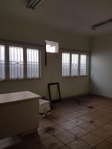 Alugar Comercial padrão / Casa comercial em Ribeirão Preto R$ 7.000,00 - Foto 8