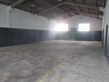 Alugar Comercial padrão / Galpão - Armazém em Ribeirão Preto R$ 4.000,00 - Foto 4