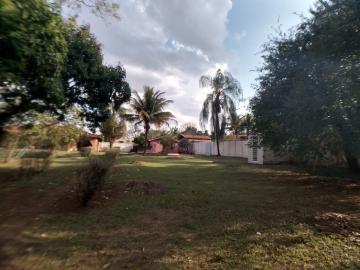 Alugar Casa / Chácara - Rancho em Ribeirão Preto R$ 3.000,00 - Foto 12