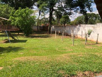 Alugar Casa / Chácara - Rancho em Ribeirão Preto R$ 3.000,00 - Foto 39