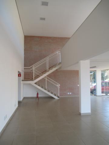 Alugar Comercial padrão / Galpão - Armazém em Ribeirão Preto R$ 6.000,00 - Foto 9