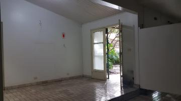 Alugar Comercial padrão / Galpão - Armazém em Ribeirão Preto R$ 2.800,00 - Foto 3