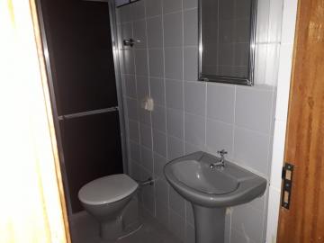 Alugar Apartamento / Padrão em Ribeirão Preto R$ 700,00 - Foto 7