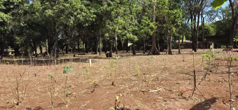 Comprar Terreno / Padrão em Ribeirão Preto R$ 1.590.000,00 - Foto 4