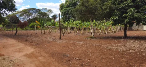 Comprar Terreno / Padrão em Ribeirão Preto R$ 1.590.000,00 - Foto 7