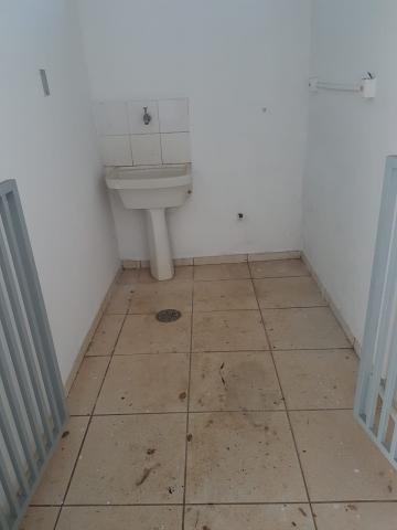 Alugar Comercial padrão / Casa comercial em Ribeirão Preto R$ 3.400,00 - Foto 14