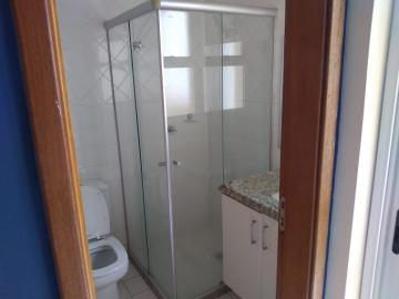 Alugar Apartamentos / Studio/Kitnet em Ribeirão Preto R$ 850,00 - Foto 7