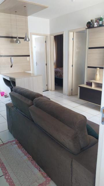 Alugar Apartamento / Padrão em Ribeirão Preto R$ 700,00 - Foto 4