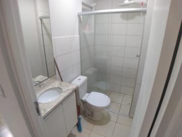 Alugar Apartamento / Padrão em Ribeirão Preto R$ 800,00 - Foto 6