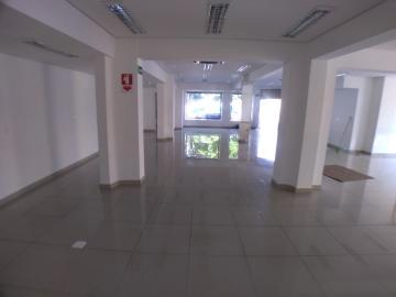 Alugar Comercial padrão / Galpão - Armazém em Ribeirão Preto R$ 7.000,00 - Foto 3