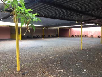 Alugar Comercial padrão / Casa comercial em Ribeirão Preto R$ 4.000,00 - Foto 13