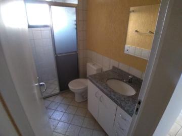 Alugar Apartamento / Padrão em Ribeirão Preto R$ 800,00 - Foto 9