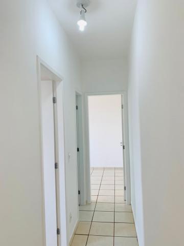 Alugar Apartamento / Padrão em Ribeirão Preto R$ 1.400,00 - Foto 10