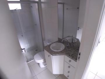 Alugar Apartamento / Padrão em Ribeirão Preto R$ 900,00 - Foto 7