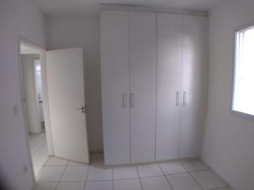 Alugar Apartamento / Padrão em Ribeirão Preto R$ 900,00 - Foto 13