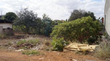 Comprar Terreno / Padrão em Ribeirão Preto R$ 2.500.000,00 - Foto 7