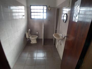 Alugar Comercial padrão / Galpão - Armazém em Ribeirão Preto R$ 4.000,00 - Foto 10