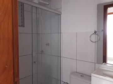 Alugar Apartamento / Padrão em Ribeirão Preto R$ 500,00 - Foto 6
