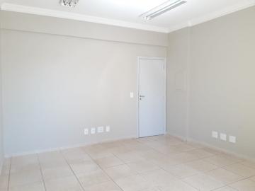 Comprar Comercial / Sala Comercial em Ribeirão Preto - Foto 8