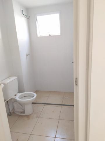 Alugar Apartamento / Padrão em Ribeirão Preto R$ 600,00 - Foto 4