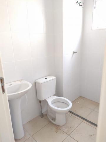 Alugar Apartamento / Padrão em Ribeirão Preto R$ 600,00 - Foto 8