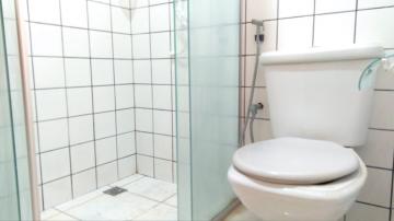 Alugar Apartamento / Padrão em Ribeirão Preto R$ 650,00 - Foto 15