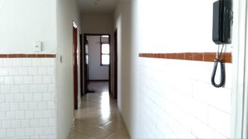 Alugar Apartamento / Padrão em Ribeirão Preto R$ 880,00 - Foto 14