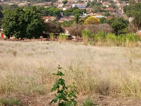 Comprar Terreno / Padrão em Bonfim Paulista R$ 11.500.000,00 - Foto 4