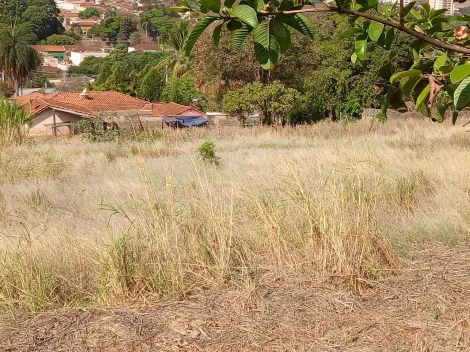 Comprar Terreno / Padrão em Bonfim Paulista R$ 11.500.000,00 - Foto 8