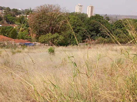 Comprar Terreno / Padrão em Bonfim Paulista R$ 11.500.000,00 - Foto 10