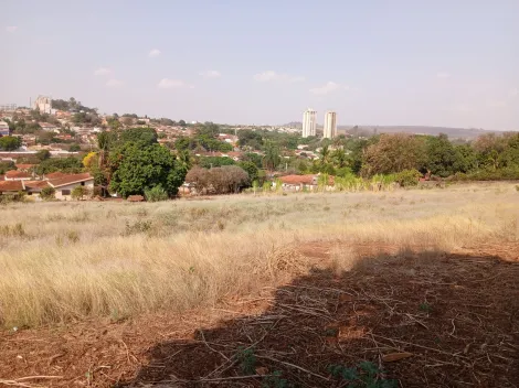 Comprar Terreno / Padrão em Bonfim Paulista R$ 11.500.000,00 - Foto 15