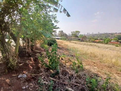 Comprar Terreno / Padrão em Bonfim Paulista R$ 11.500.000,00 - Foto 16